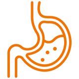 Gut Health