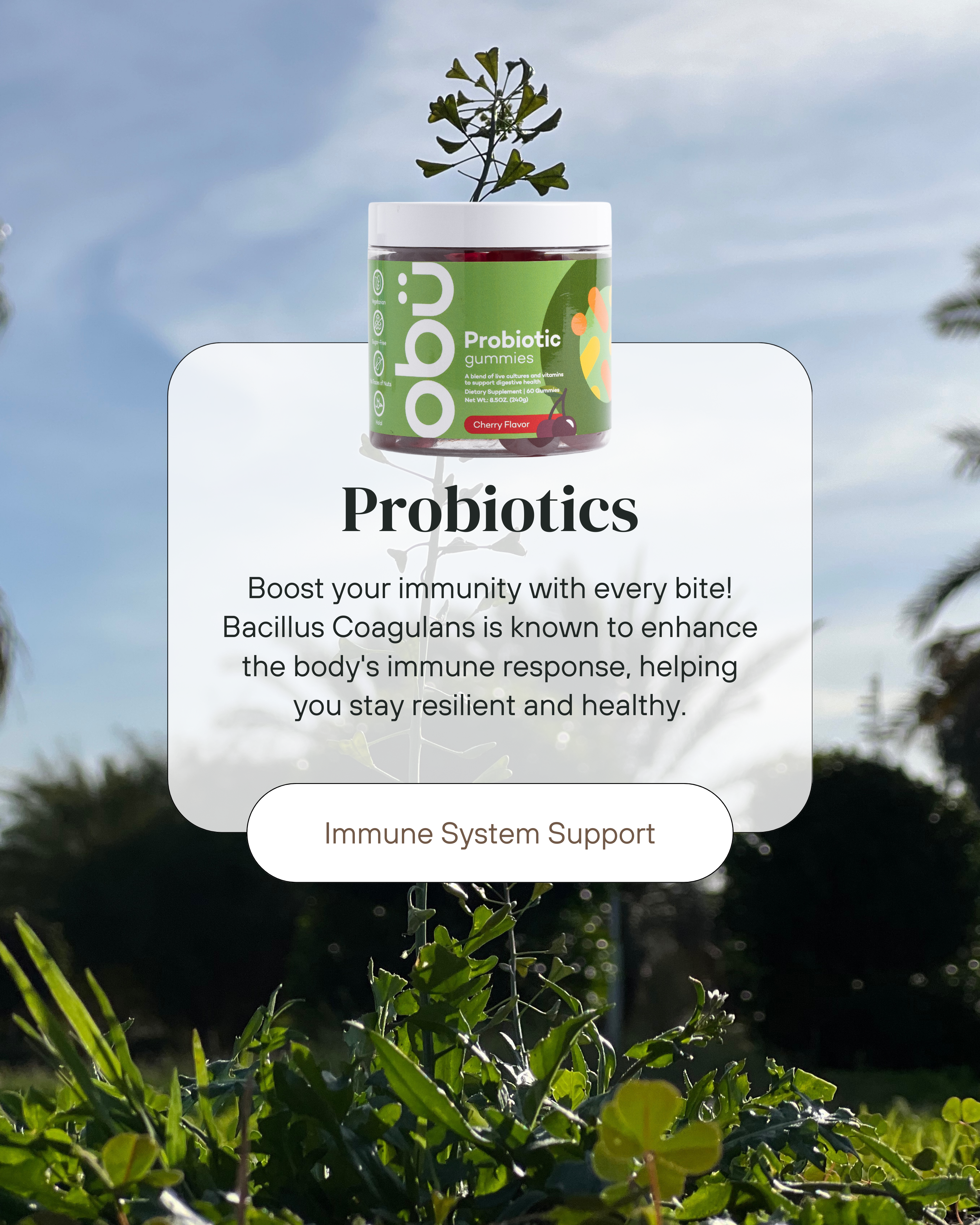 Probiotic